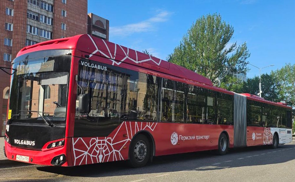 Автобусы особо большого класса начнут работать на маршруте № 1 в Перми с 15 июля