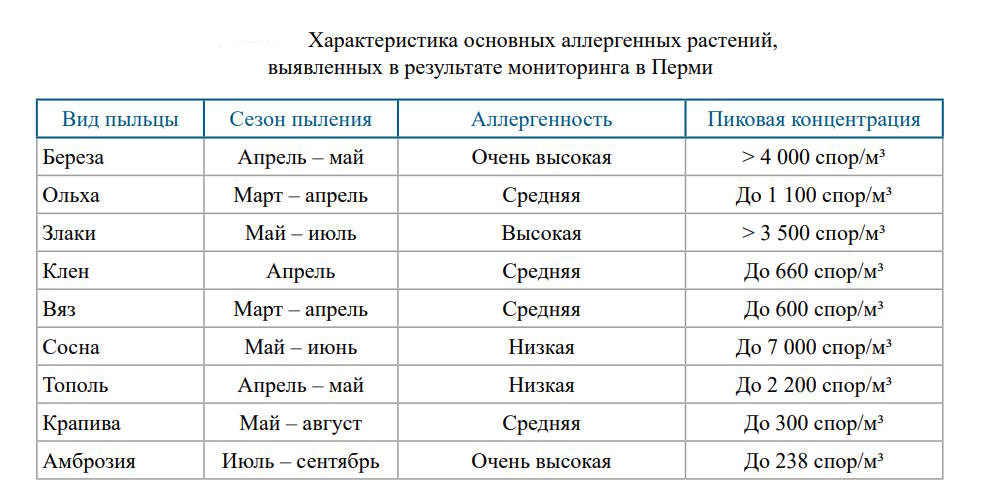 Самую большую опасность для аллергиков в Перми представляет берёза