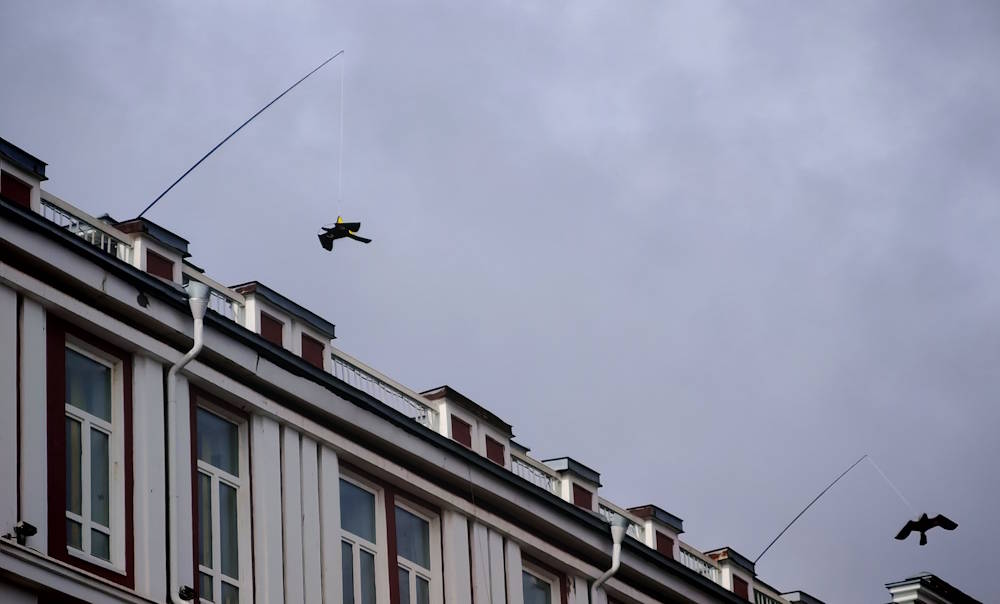 На здании мэрии Перми установили макеты хищных птиц