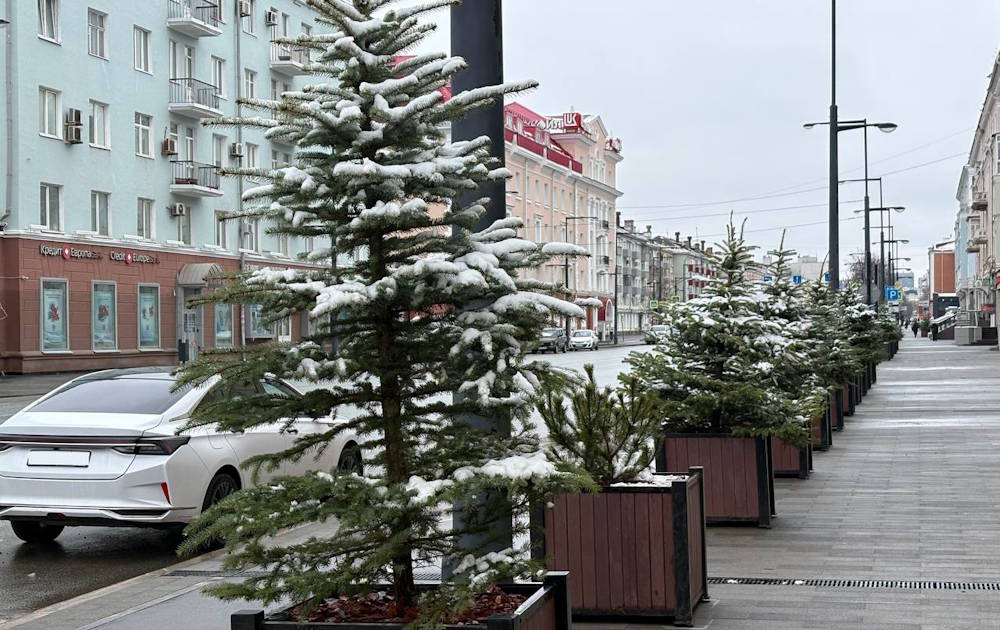 Мокрый снег может выпасть в Перми в ночь на 3 октября