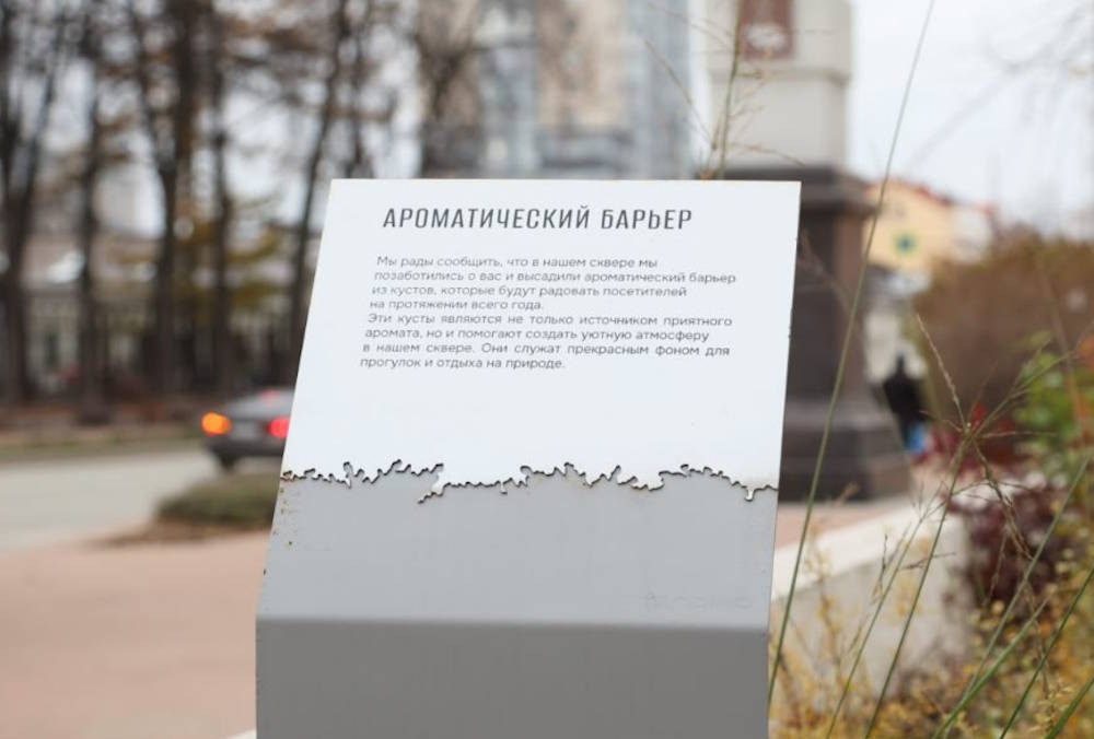 В пермском сквере создали ароматический барьер из растений 