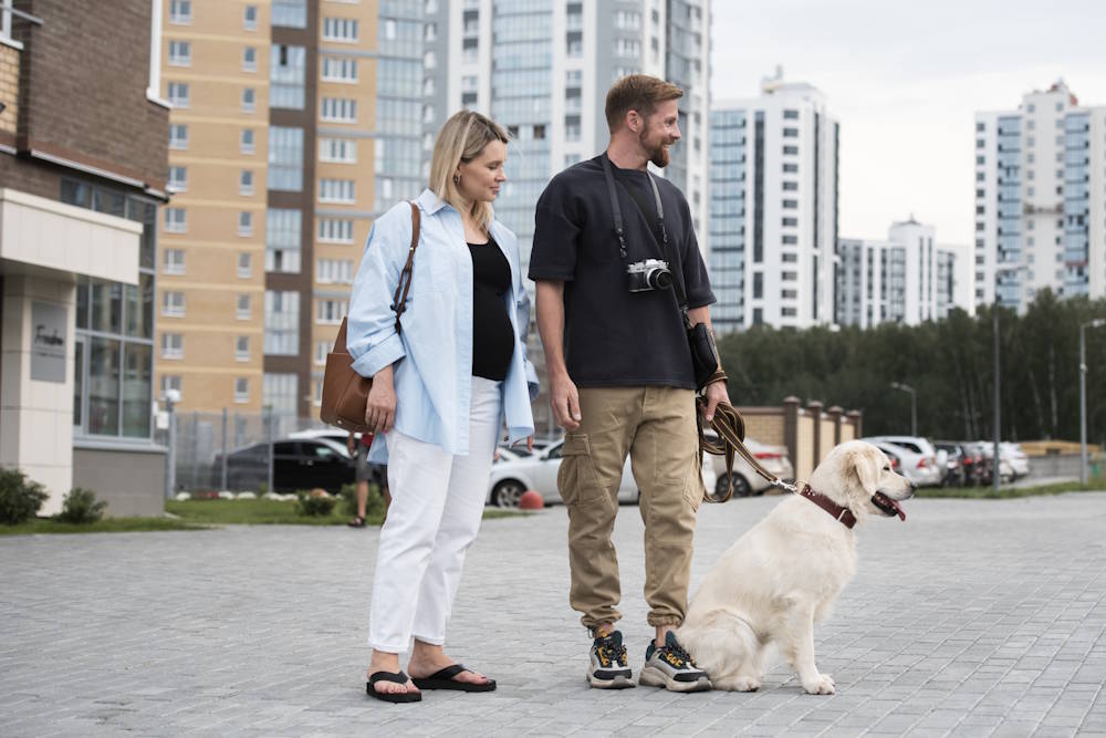 В Перми запустили туры с собаками