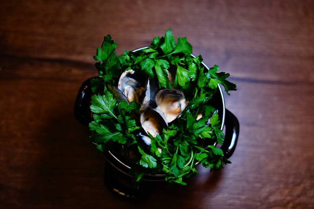 В Перми откроется кафе морепродуктов «Мидийный дом»